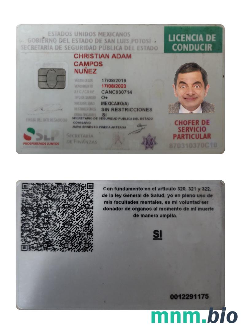 Meksyk prawo jazdy 2019-obecniew formacie PSD, ze wszystkimi czcionkami